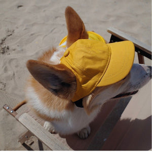 Personalized Dog Sun Hat Baseball Cap With Embroidered Name Gift for Pet Lovers