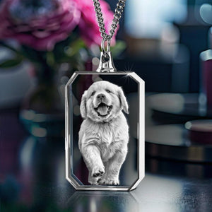 Personalized I Will Carry You With Me Until I See You Again Transparent Photo Memorial Necklace