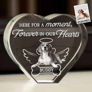 Here For A Moment, Forever In Our Hearts personalized Dog Plaque