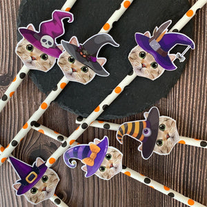 Personalized Halloween Witch Themed Party Face Straws